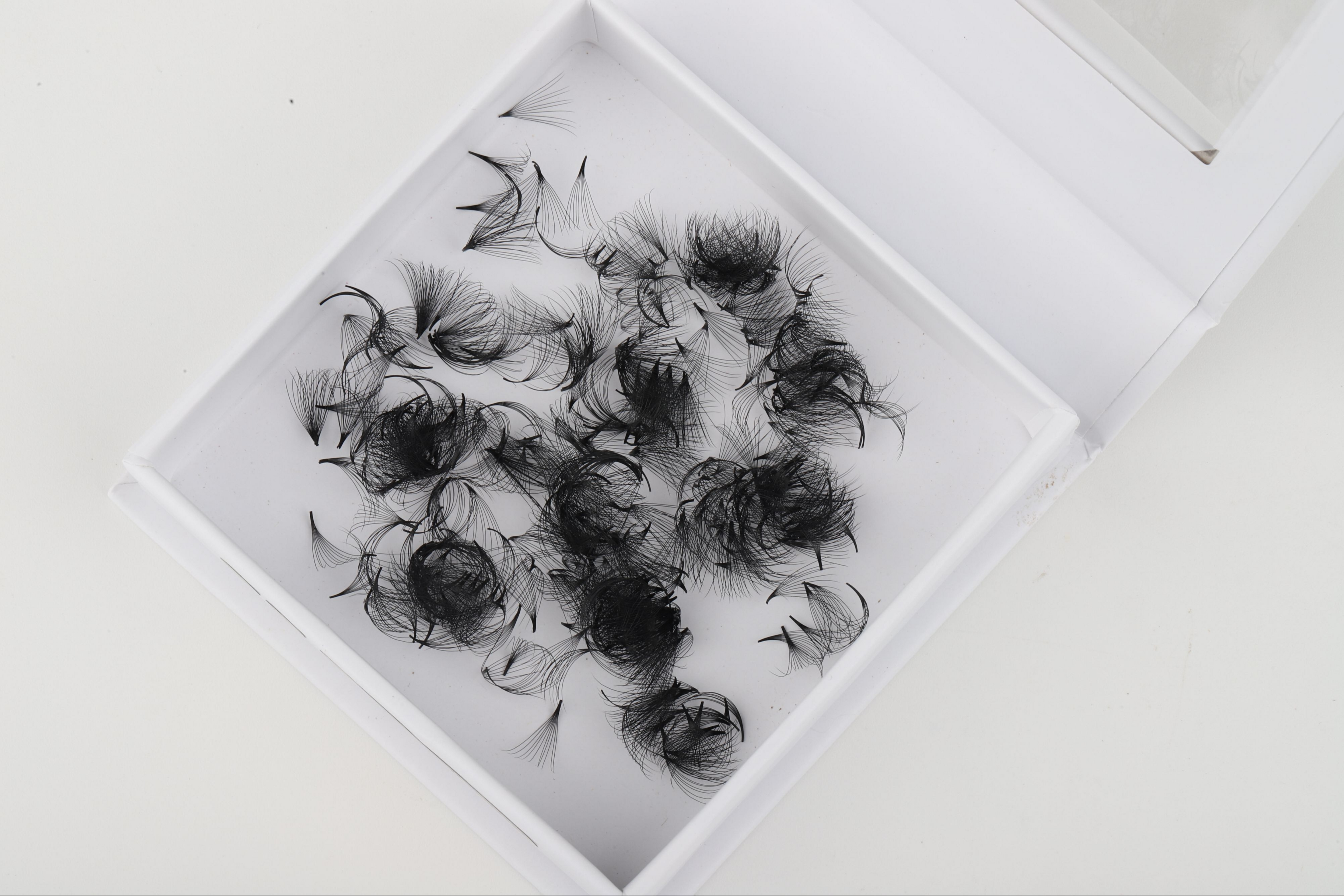 10D Pro-Made Fans - Pointy Base 0.03mm - KKLash.co