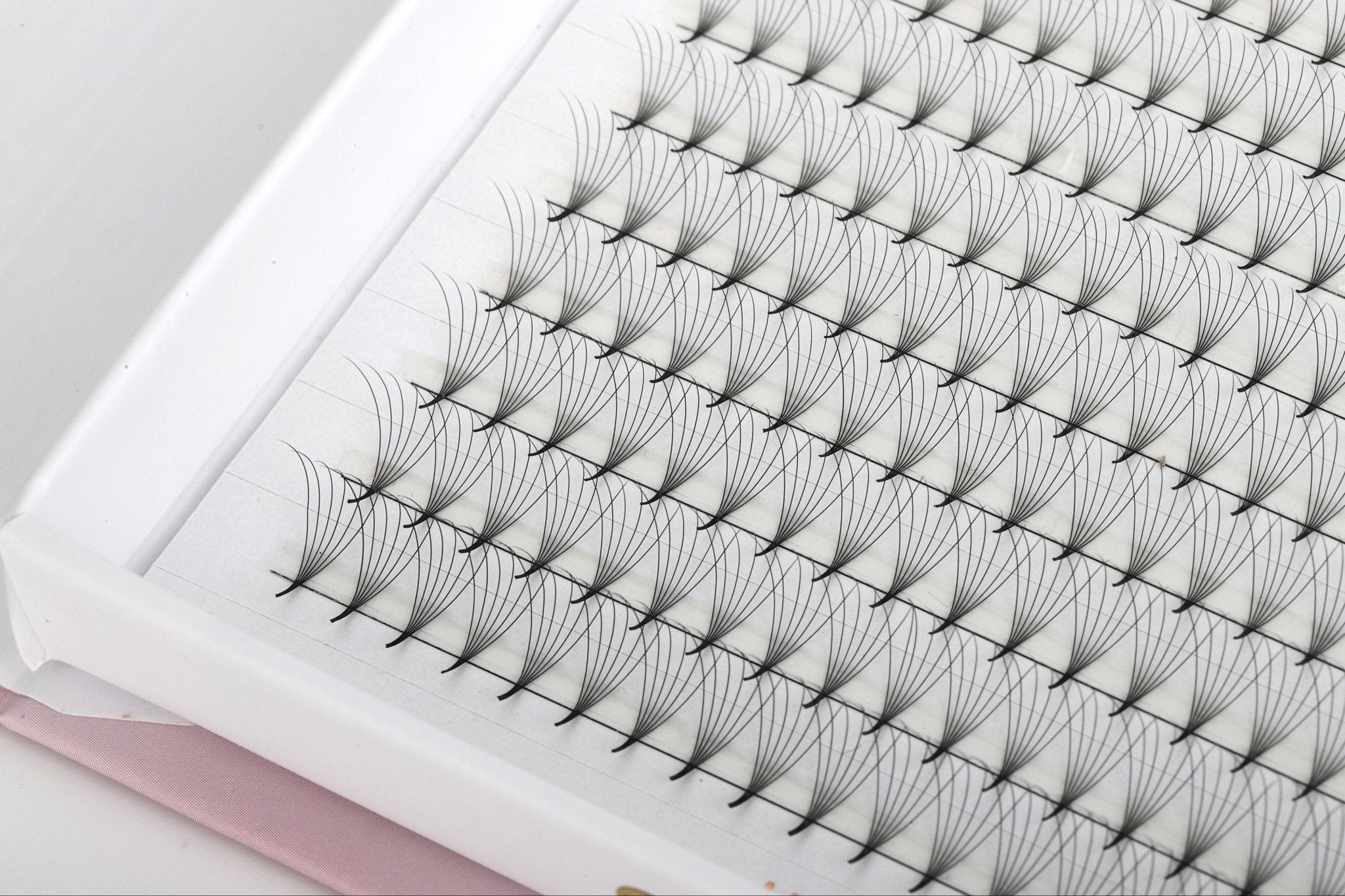 XXL BOX 6D Pro - Made Fans - Pointy Base 0.07mm - KKLash.co