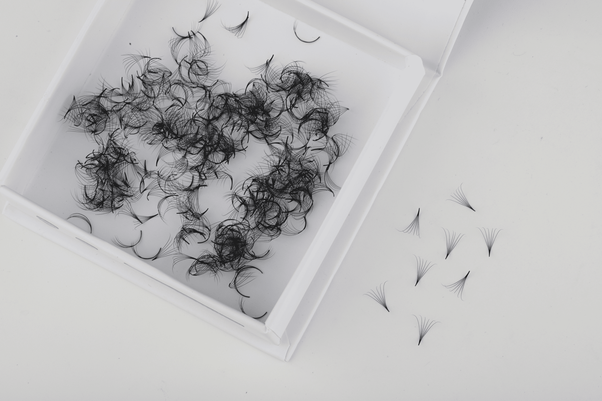 6D Pro - Made Fans - Pointy Base 0.07mm - KKLash.co