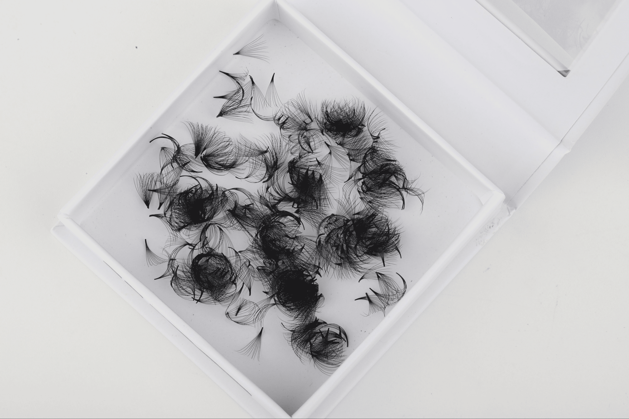 10D Pro - Made Fans - Pointy Base 0.03mm - KKLash.co