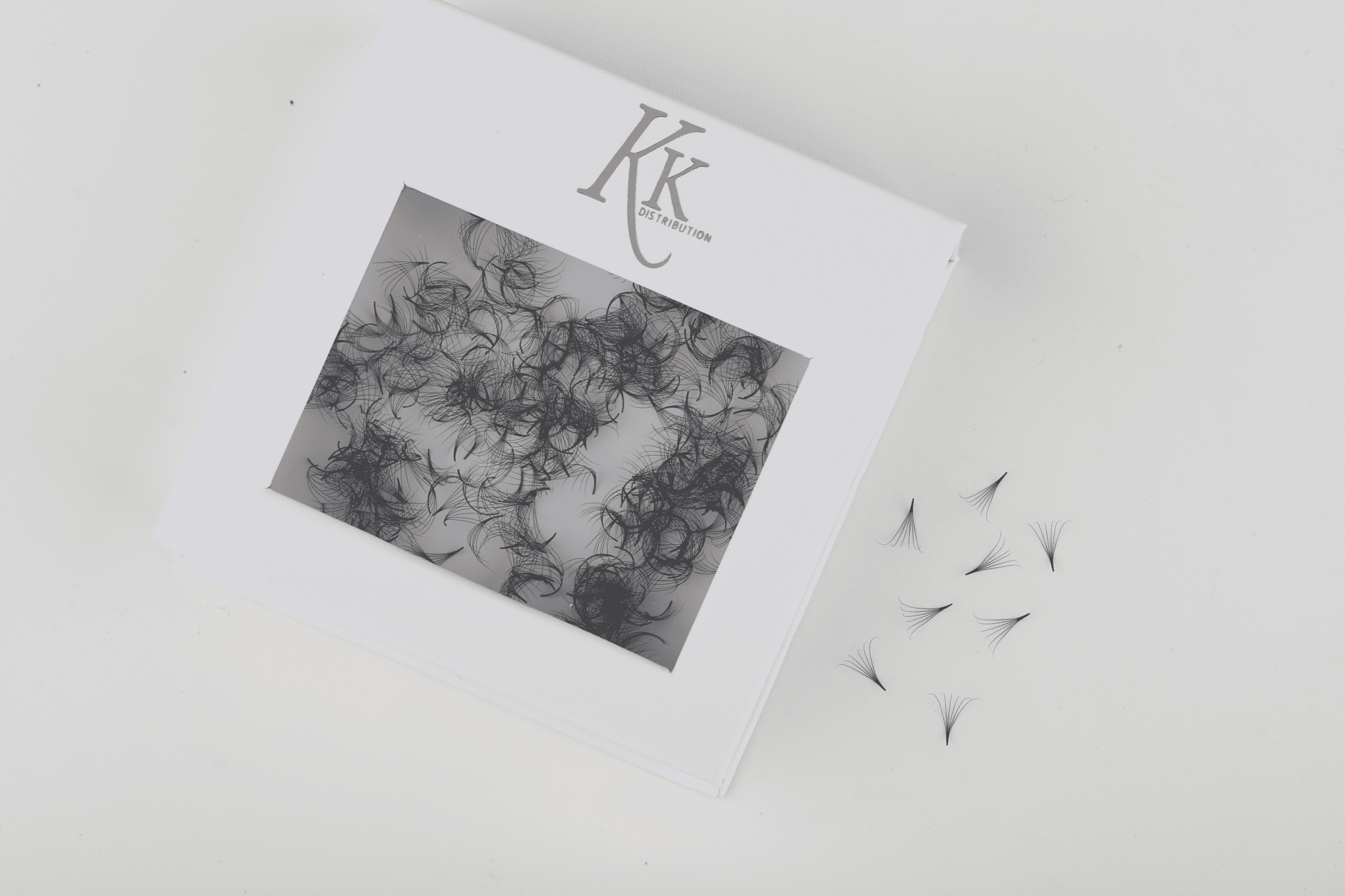 6D Pro - Made Fans - Pointy Base 0.07mm - KKLash.co