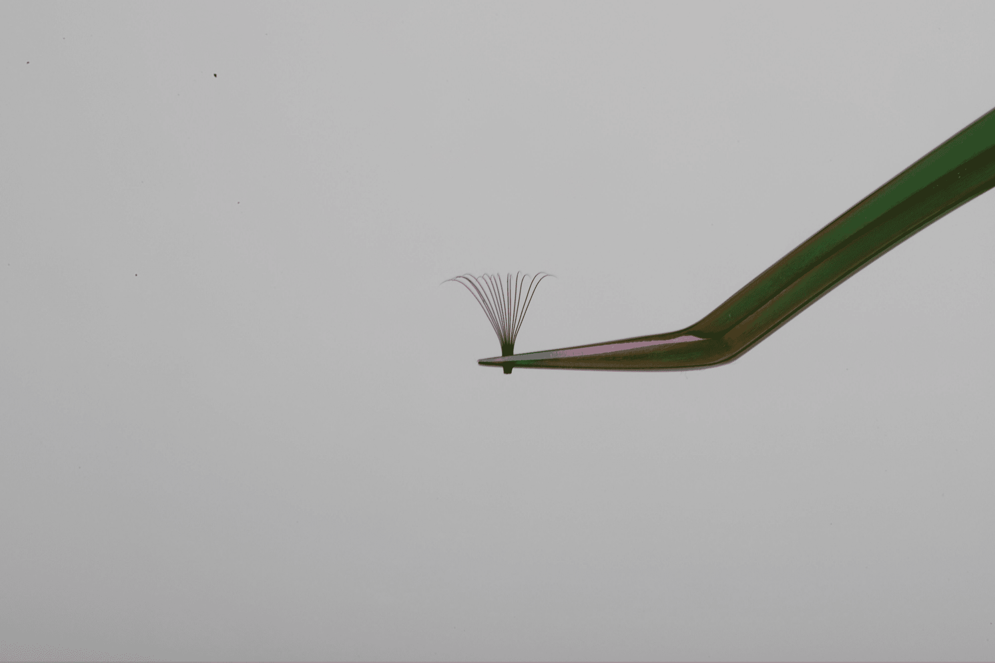14D Pro - Made Fans - Pointy Base 0.03mm - KKLash.co